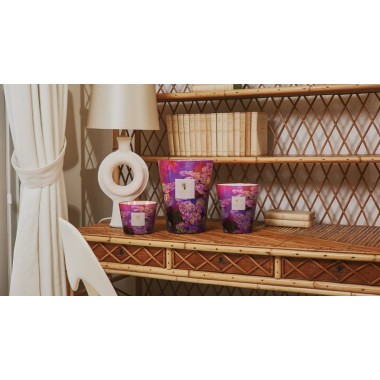 Bougie parfumée Max 16 Arty Flowers - Water Lily EDITION LIMITEE