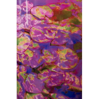 Bougie parfumée Max 10 Arty Flowers - Water Lily EDITION LIMITEE