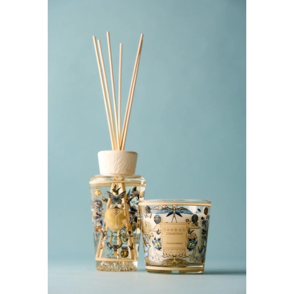 Coffret cadeau My first Baobab Tomorrowland 2026