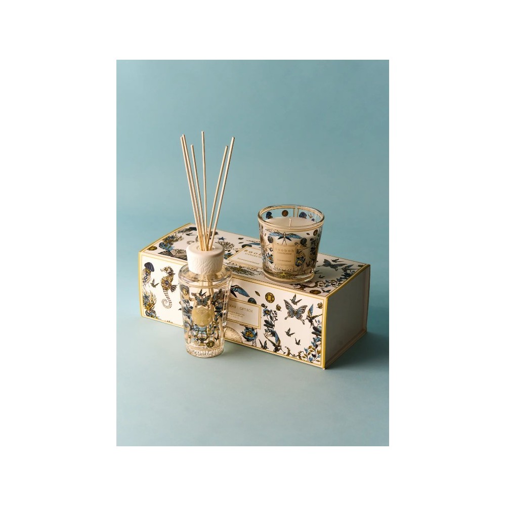 Coffret cadeau My first Baobab Tomorrowland 2026