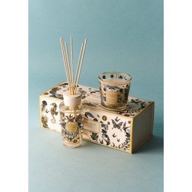 Coffret cadeau My first Baobab Tomorrowland 2026